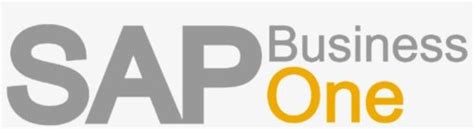 descargar sap business one 9.2 full mega